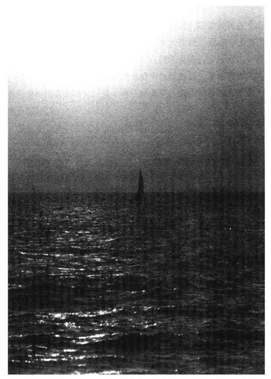 figure_0054_0011