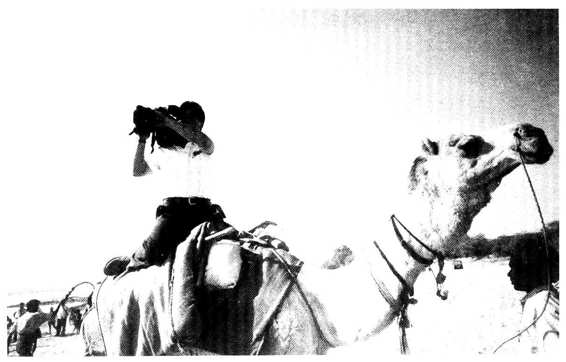 figure_0090_0015