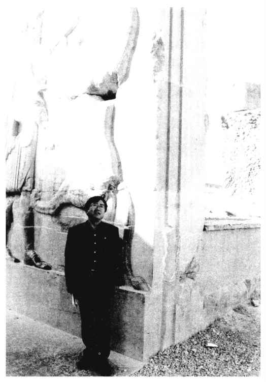 figure_0245_0034