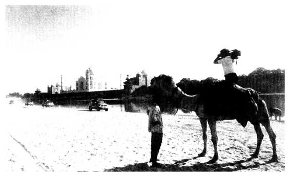 figure_0308_0039