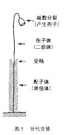 缺失的图片文件