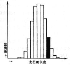 缺失的图片文件